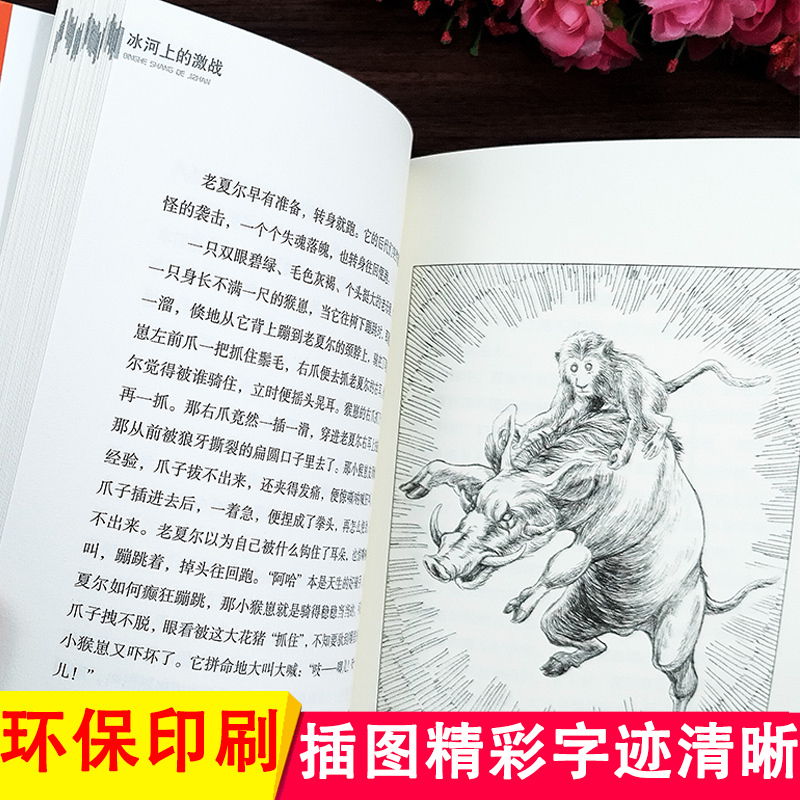 中国动物文学大系(22册) [正版]全22册 中国动物文学大系系列新版 动物小说系列套装 豹子哈奇 后的野马等沈石溪