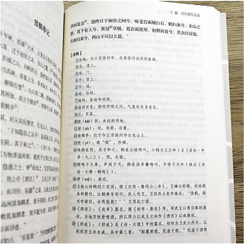 苏东坡集+苏东坡词传 [正版]苏东坡集 译文赏析文白对照苏轼诗词全集文集词传诗词全集诗文词选译十讲合注古诗词全集赏析高清大图