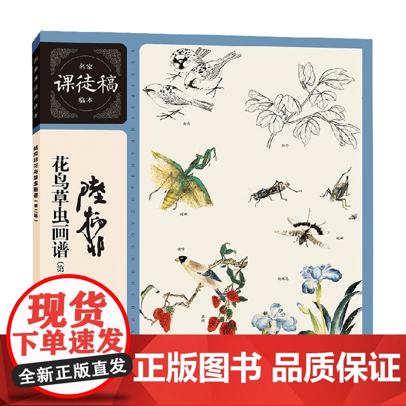 名家课徒稿临本 陆抑非花鸟草虫画谱 第2版 陆抑非等 著 绘画高清大图