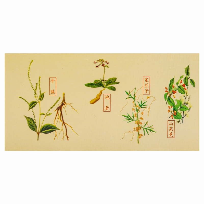 仲景左归丸45g 滋肾补阴 用于真阴不足腰酸膝软盗汗神疲口燥高清大图