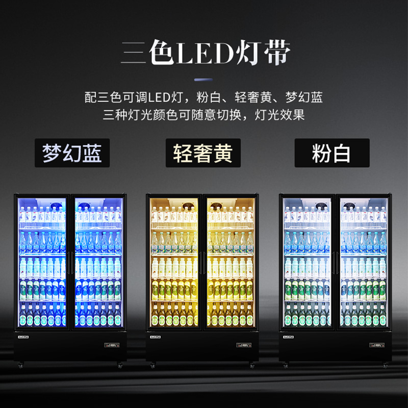 澳柯玛(AUCMA)LSC-609DW澳柯玛风冷无霜冷藏展示柜商用冰箱超市保鲜柜冰柜酒吧饮料啤酒柜高清大图