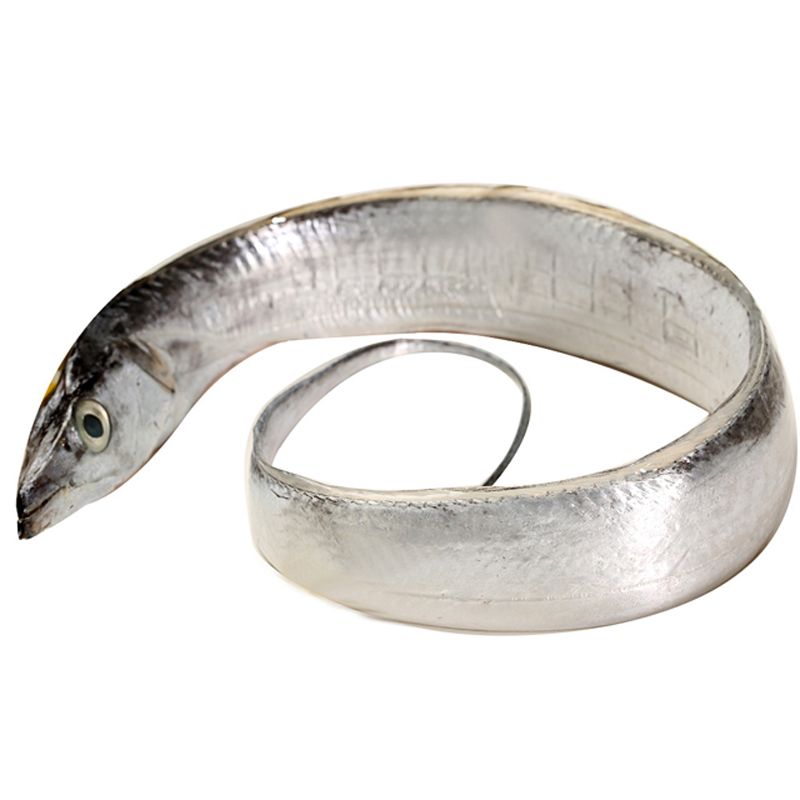 wecook冰鲜银丝带带鱼2号300400g条2条海钓捕获银光闪闪真正冰鲜鱼