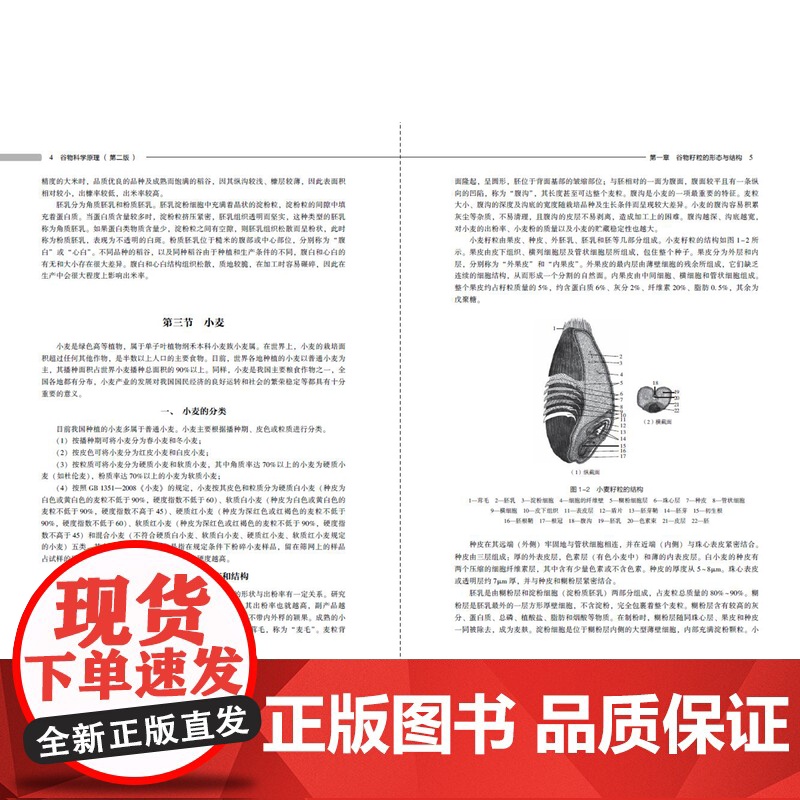 教材.谷物科学原理第二版普通高等教育十一五国家级规划教材朱科学赵仁勇邢俊杰主编出版年份2023年最新印刷2023年7月版高清大图
