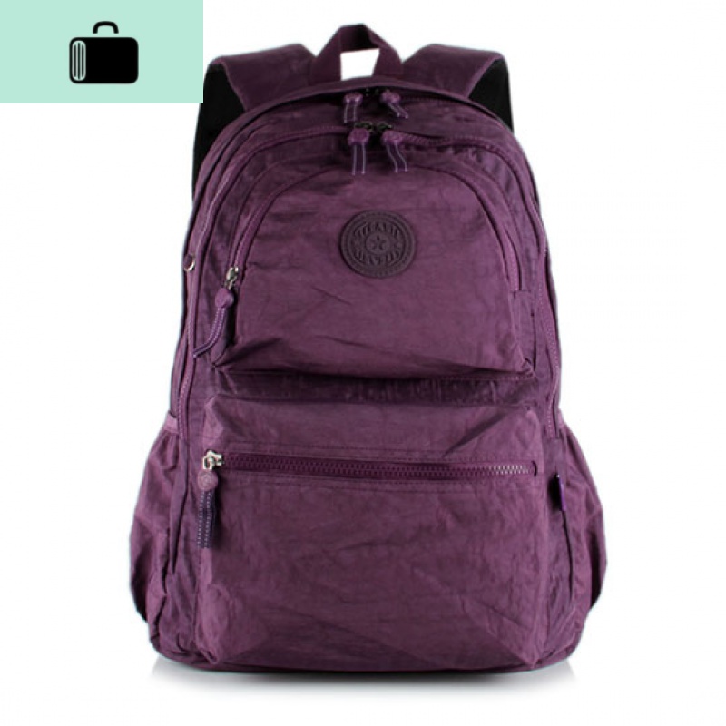 大号休闲双肩包水洗尼龙布料旅行背包新款时尚女包学院风学生书包NEW LAKE 紫色