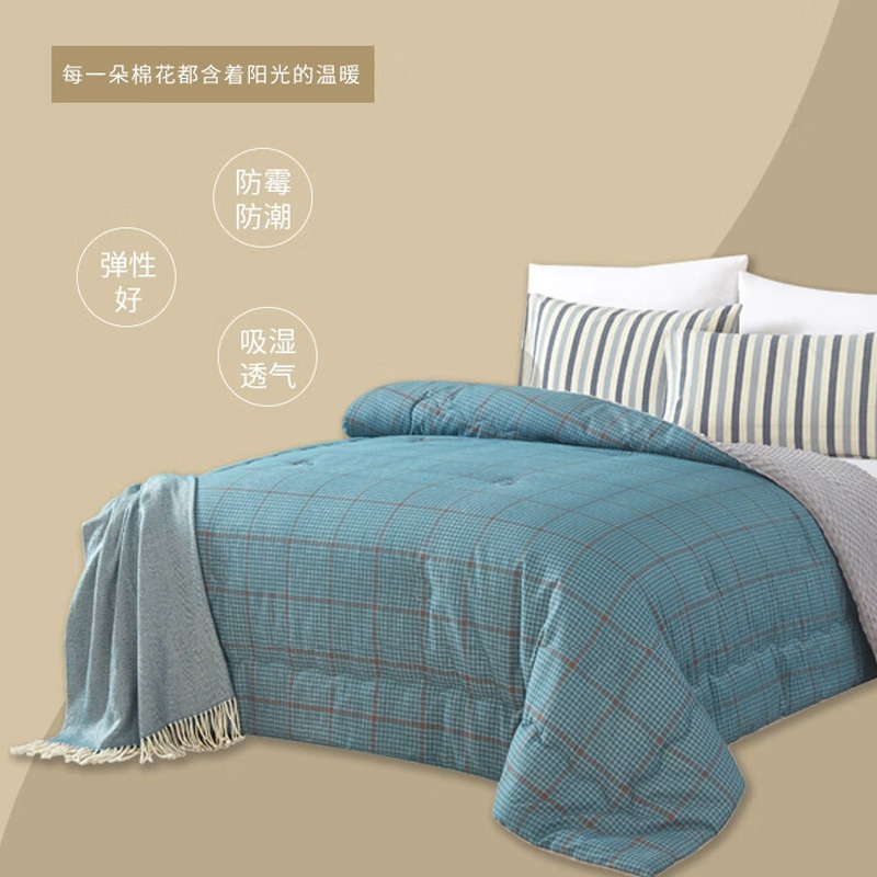 天琴被子200*230cm透气干爽舒适柔软细腻TQ-B088高清大图