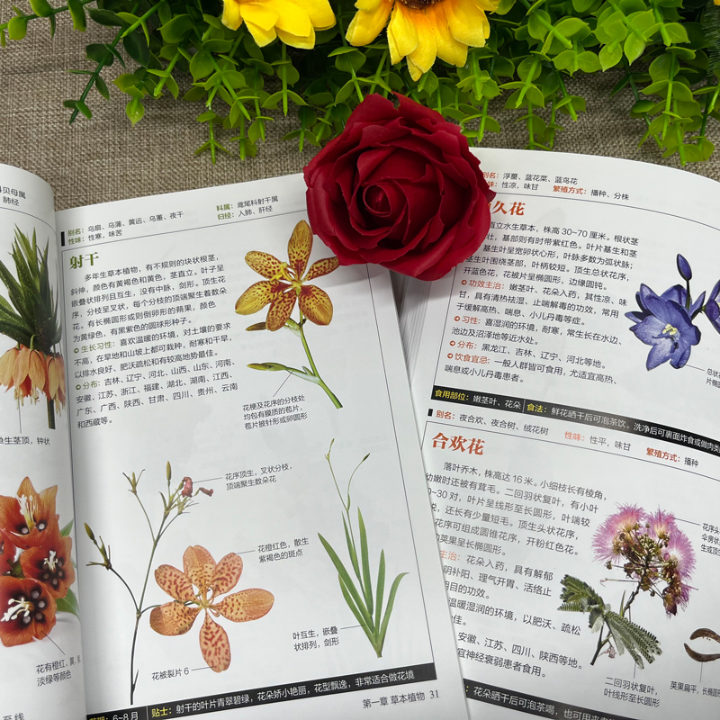 [正版]铜版纸全2册野菜图鉴+野花图鉴常见花卉园林植物识别图鉴野外野菜识别速查图鉴植物特性药学图鉴植物花草识别图解食疗书高清大图