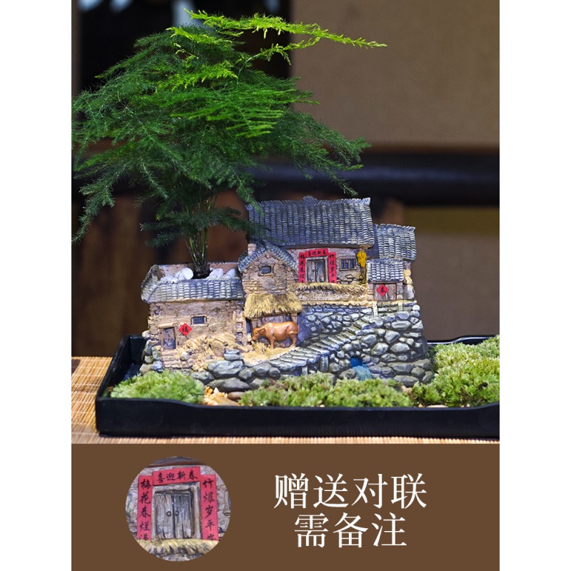 复古花盆中式创意多肉植物微景观小摆件个性室内桌面盆栽盆景装饰林语微庭文竹套餐 文竹 黄沙 灯笼可亮 小图片 高清实拍大图 苏宁易购