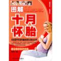 图解十月怀胎