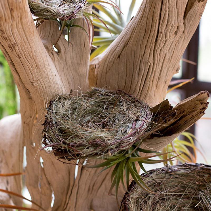家柏饰corated编鸟窝鸟巢燕窝花器户外园艺花园装饰拍摄道具手工小