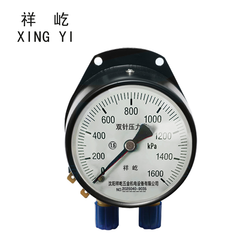 祥屹/双针双管压力表/YCS100-II/24V/台 0-1600Kpa