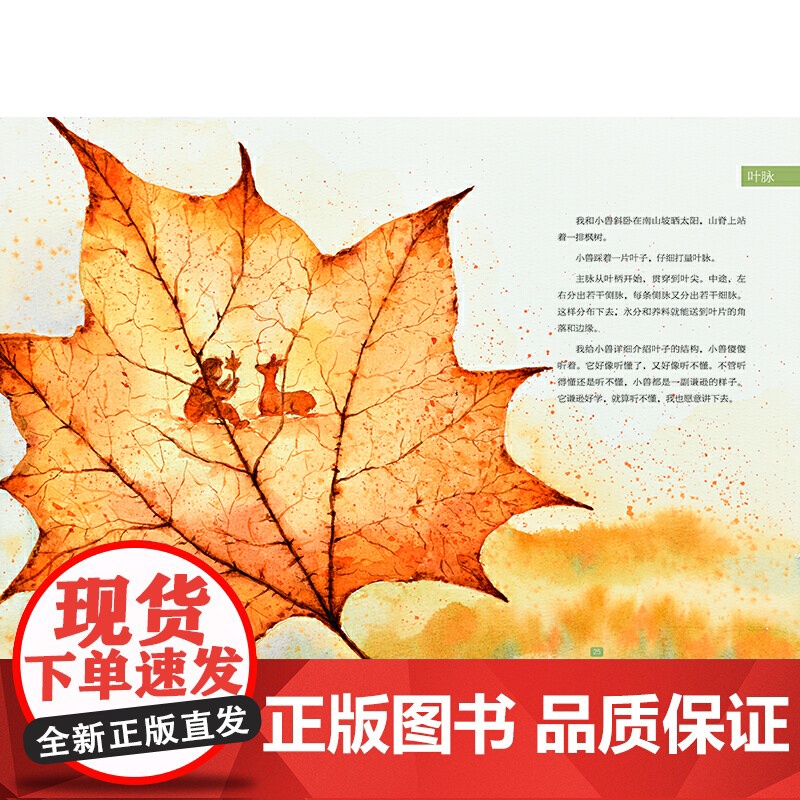 小木屋的昼与夜 (大自然的邀请函 )高清大图