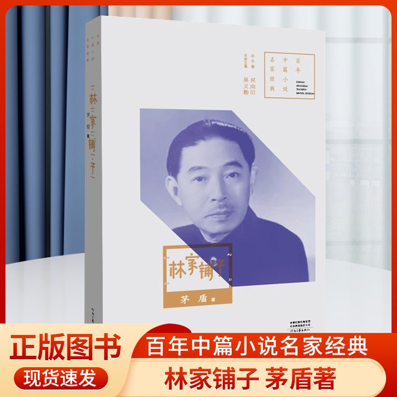 [正版]书籍 百年中篇小说名家经典:林家铺子 茅盾著 现当代文学作品集小说 河南文艺出版社高清大图