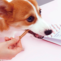 好命天生 犬用洁齿骨 宠物零食磨牙棒小型泰迪补钙骨头除口臭耐咬