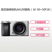 索尼(SONY)ILCE A6100L(16-50+50F18)银色 数码微单相机 双镜头套装 约2420万像素