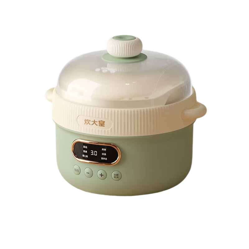 炊大皇 多功能电炖锅/CDH-DG0210