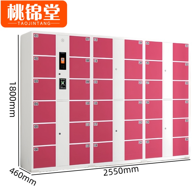 桃锦堂存包柜 存包柜36门台