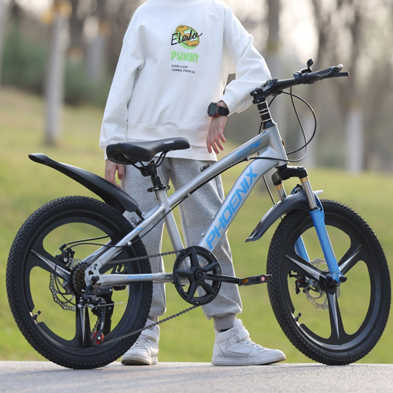 凤凰phoenix儿童自行车614岁女孩中大童男孩山地碟刹变速小学生20寸