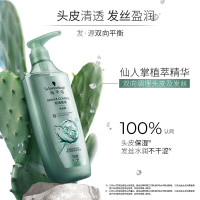 Schwarzkopf施华蔻控油赋源无硅油洗发露自律瓶长效控油净油去屑洗发水600ml