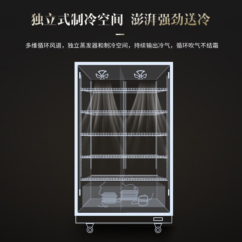 澳柯玛风冷无霜展示柜 两门啤酒柜 立式冷藏全面屏啤酒柜饮料啤酒冷饮商用冷柜 超市酒吧保鲜陈列柜 LSC-790HW高清大图
