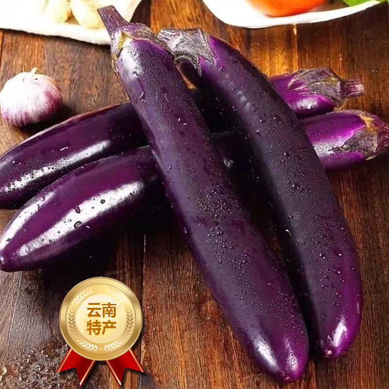 【西沛生鲜】新鲜紫茄子长茄子 净重2.5斤装 农家自种长线大茄子黑嫩现摘蔬菜