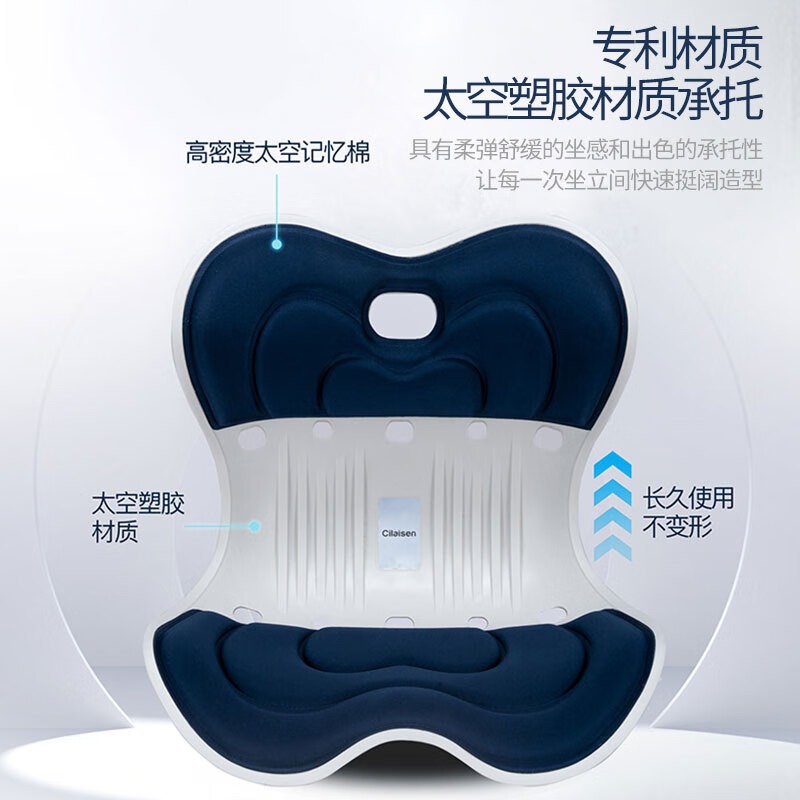 西莱森 护腰坐垫 CP-WP1_高清大图