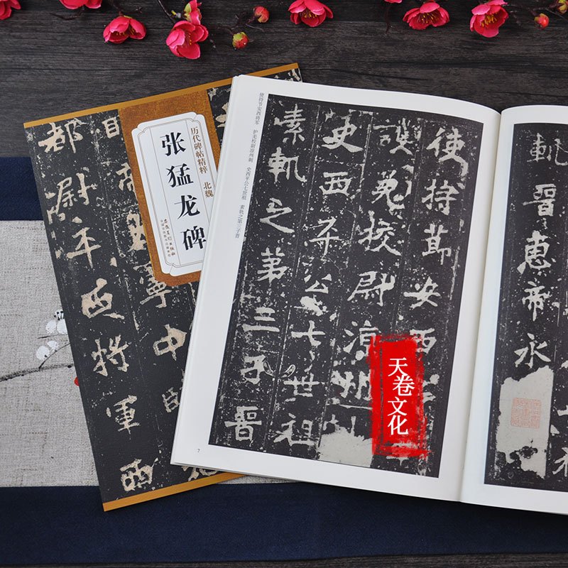 [正版]天卷 北魏 张猛龙碑 历代碑帖 杜浩主编 楷书毛笔字帖软笔书法成人学生临摹临帖练习古帖鉴赏 简体旁注原碑原贴