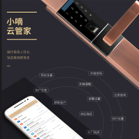 德施曼(DESSMANN)D820指纹锁智能猫眼异常提醒静音锁体APP指纹密码卡片钥匙开门ios;Android红古铜