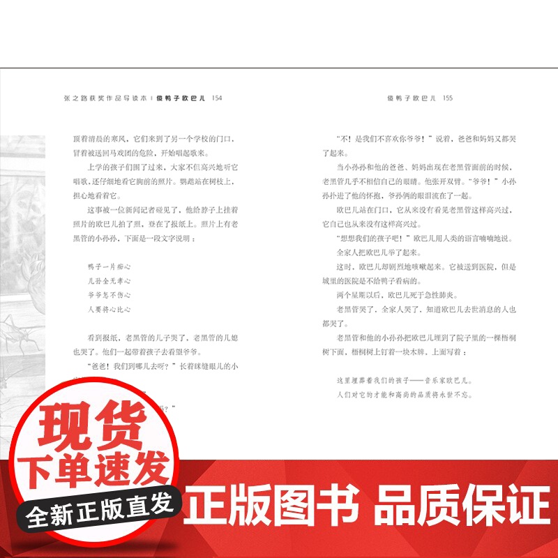 傻鸭子欧巴儿 张之路 著少年儿童出版社 儿童文学小学生一年级二年级三年级课外书正版寒假暑假阅读高清大图
