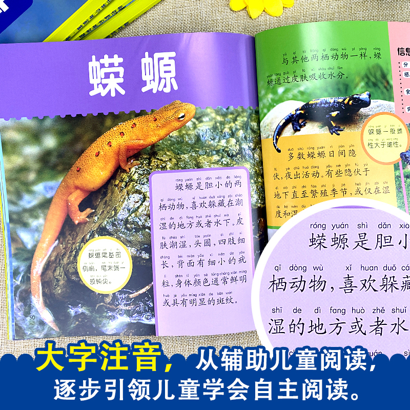雨林和湿地动物(任选三本有优惠) [正版]雨林和湿地动物世界大探索 注音版3-6-9岁儿童科普百科图画书 亚马逊鳄鱼河马
