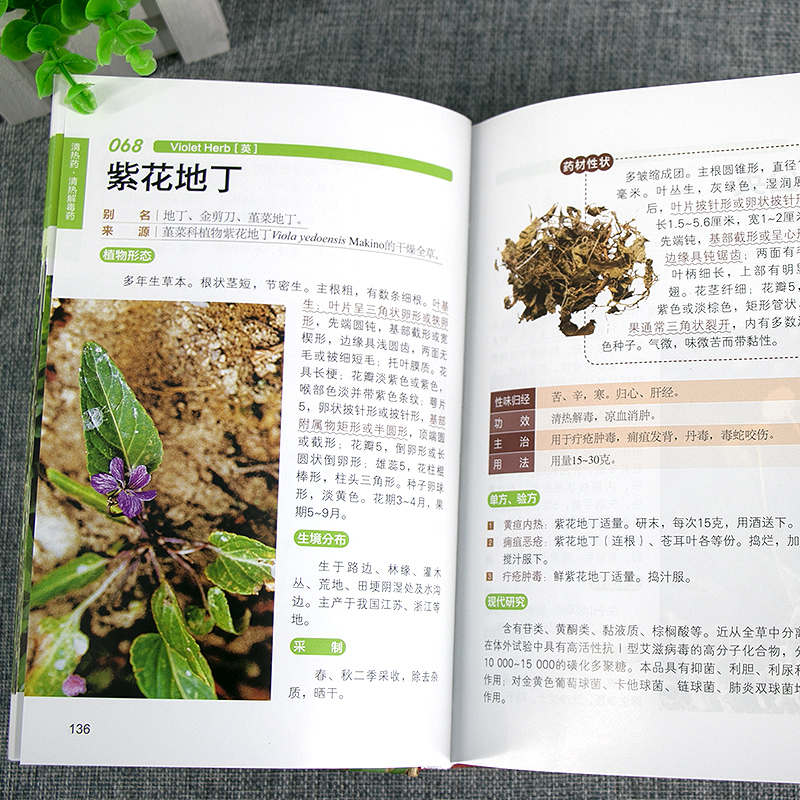[正版]精编中草药识别与应用图谱徐鸿华楼步青黄海波主编彩图大全书野外常见植物速查图鉴本草纲目全套神农经李时珍书籍图解中高清大图