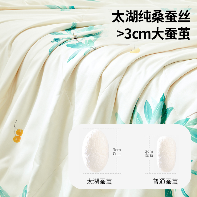 梦洁(MENDALE)家纺 100%桑蚕丝被夏凉被夏季薄被子被芯单人双人空调被床上用品菁菁芳菲高清大图