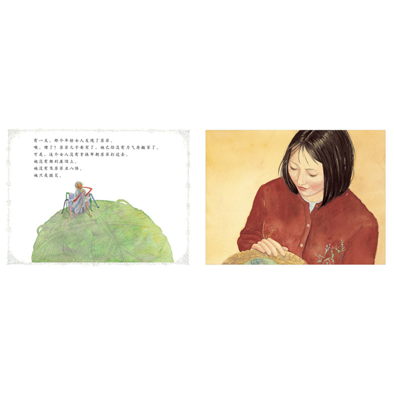 正版新书]苏菲的杰作艾琳·斯安内利9787543468894高清大图