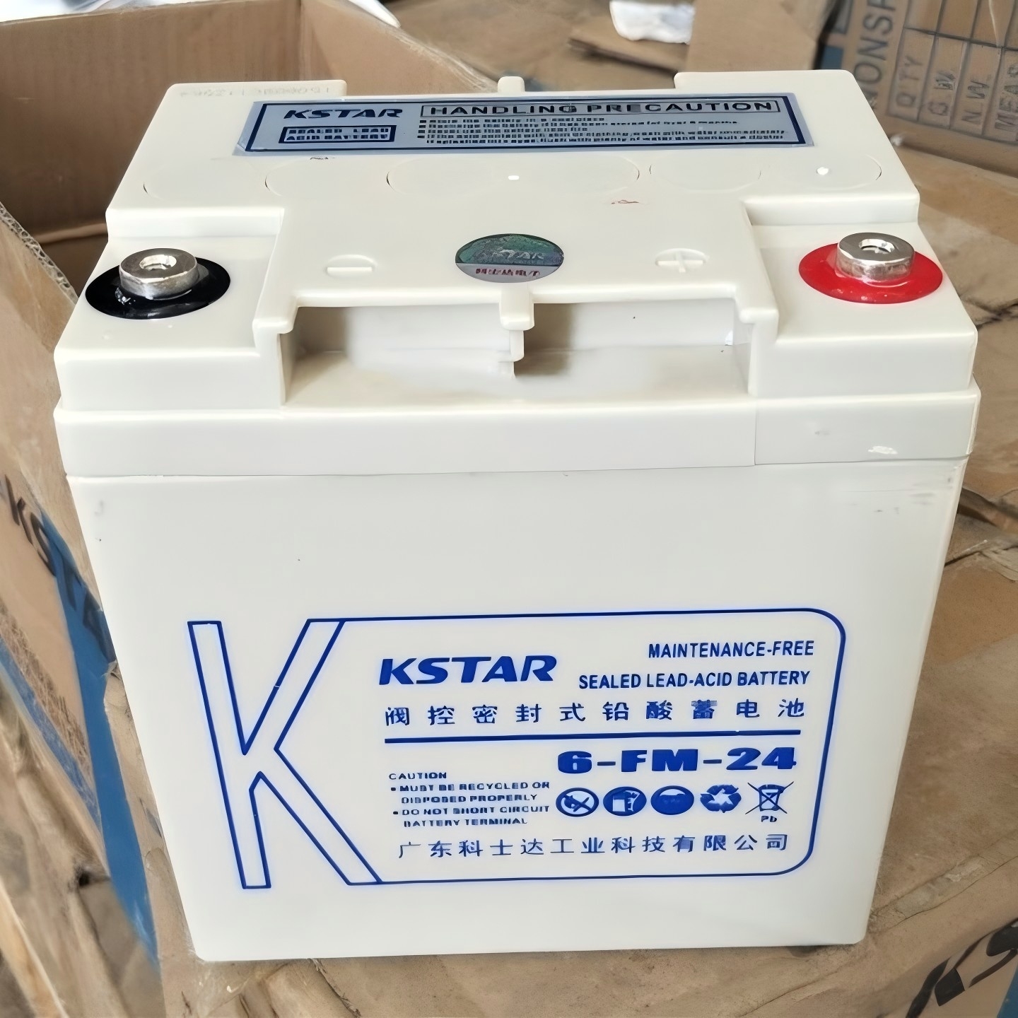 科士达UPS蓄电池6-FM-24(12V24AH )阀控式免维护铅酸电池高清大图