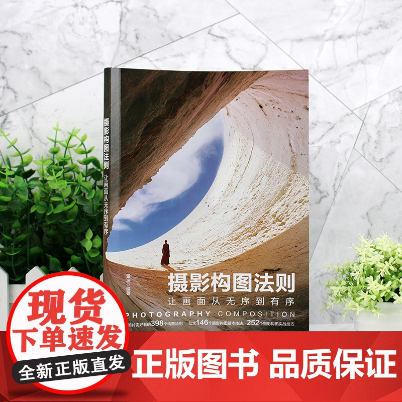 赠视频课 摄影构图法则 让画面从无序到有序 摄影构图基本技法实战技巧大公开 摄影构图原理深度剖析 摄影入门教程视频课 拍高清大图