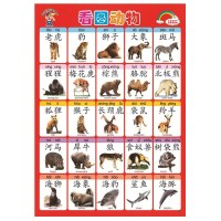 aoe儿童24个拼音字母表26个英文字母表挂图标准图读物汉字贴墙用 精选28张+身高贴（送胶带）