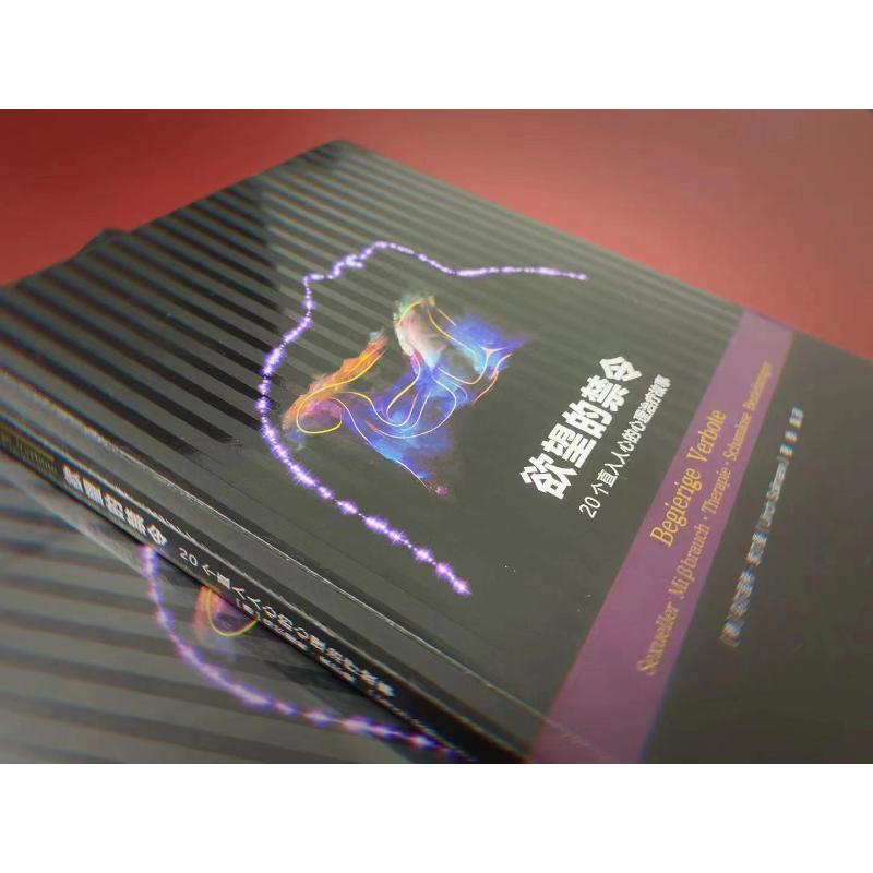 醉染图书的禁令 20个直入人心的心理治疗故事9787552031256高清大图