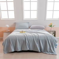 凯诗风尚(CHARSON)夏凉被 苏宁自营 凯诗风尚 A类冰淇淋凉感丝夏凉被可水洗机洗空调被子被芯单人学生宿舍被子