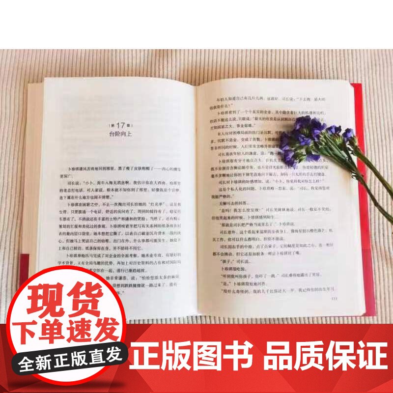 心理小组(精装) 毕淑敏 山西人民出版社发行部 正版书籍高清大图