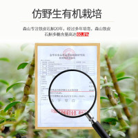 森山牌森山食养铁皮石斛花桂花茶、铁皮石斛花玫瑰花茶1g*20袋