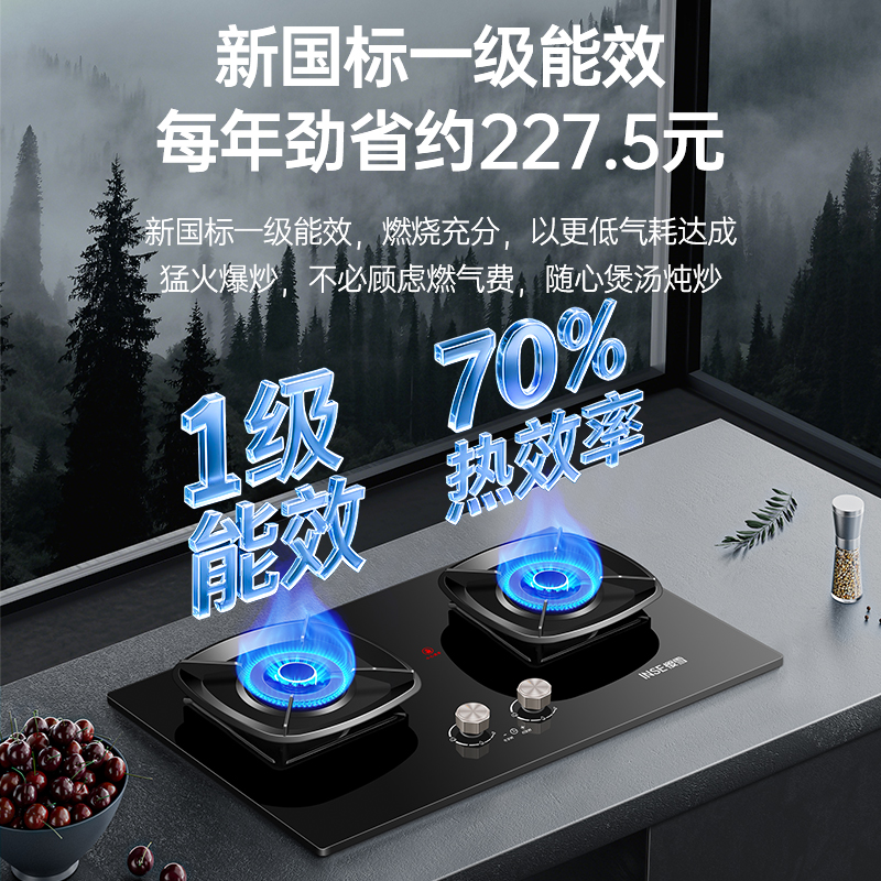 樱雪INSE燃气灶天然气双灶具 家用5.2kW定时聚能猛火灶灶台嵌两用 70%高热效可调节底盘Q8D高清大图