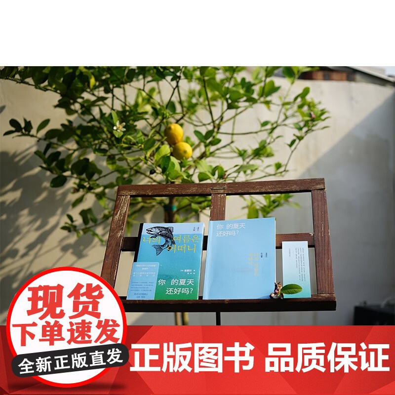 你的夏天还好吗 金爱烂 著 文学 韩国文学高清大图