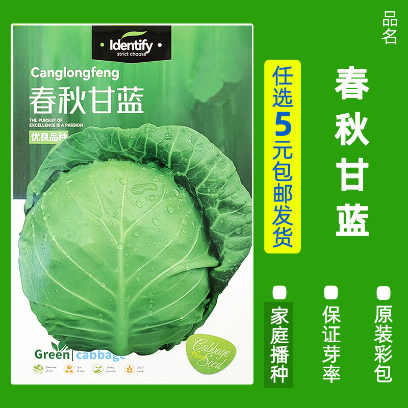 买3发6包四季蔬菜种子青菜香菜白菜生菜小葱黄瓜阳台盆栽香瓜冰糖 均码 B81-青春甘蓝约2.8克