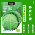 买3发6包四季蔬菜种子青菜香菜白菜生菜小葱黄瓜阳台盆栽香瓜冰糖 均码 B81-青春甘蓝约2.8克