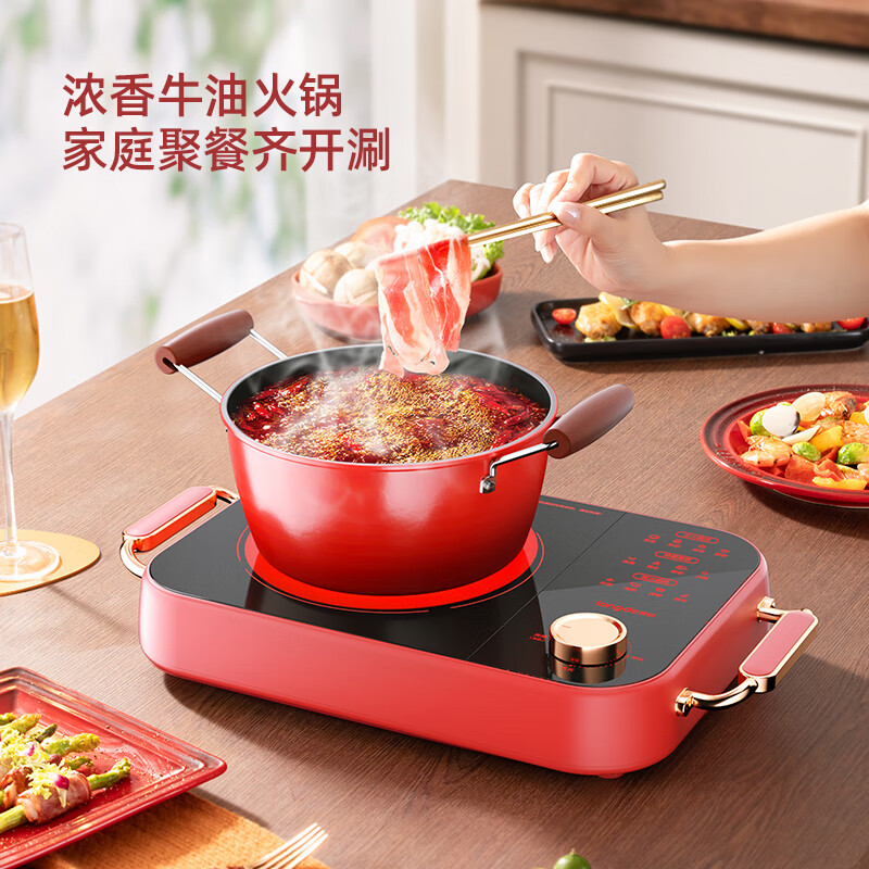 longde龙的电陶炉LD-DTL2282高清大图