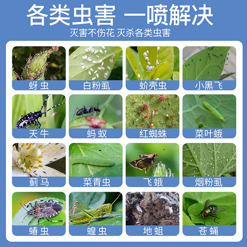 杀虫药花卉植物杀虫剂花草蚜虫月季花病虫害室内花喷雾除虫剂500mlx1瓶
