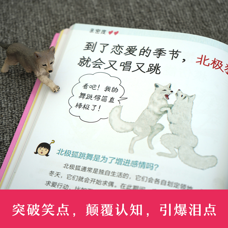 醉染图书动物的那些事儿·超好玩!动物交友书9787571505790高清大图