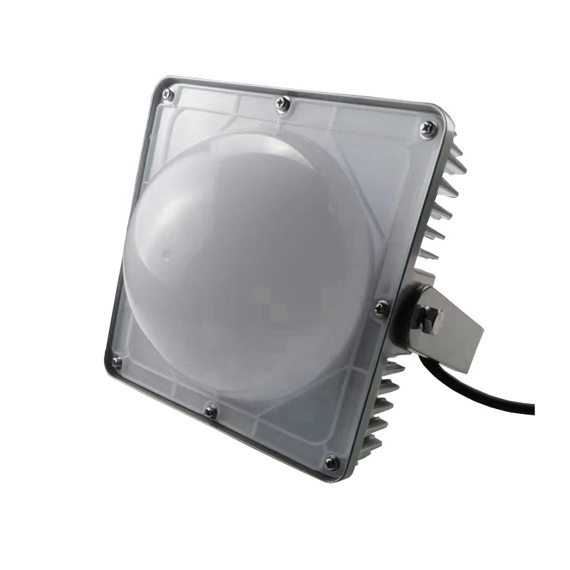 LHDQ 领航电器 LHF2107 LED平台灯 100W 220V 冷光 IP65