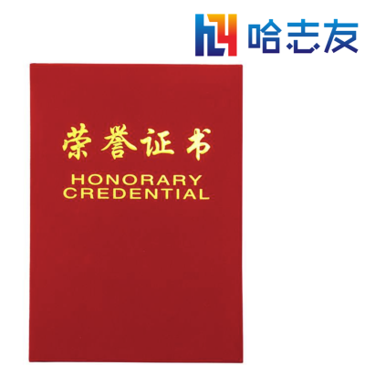 哈志友荣誉证书HZY0196