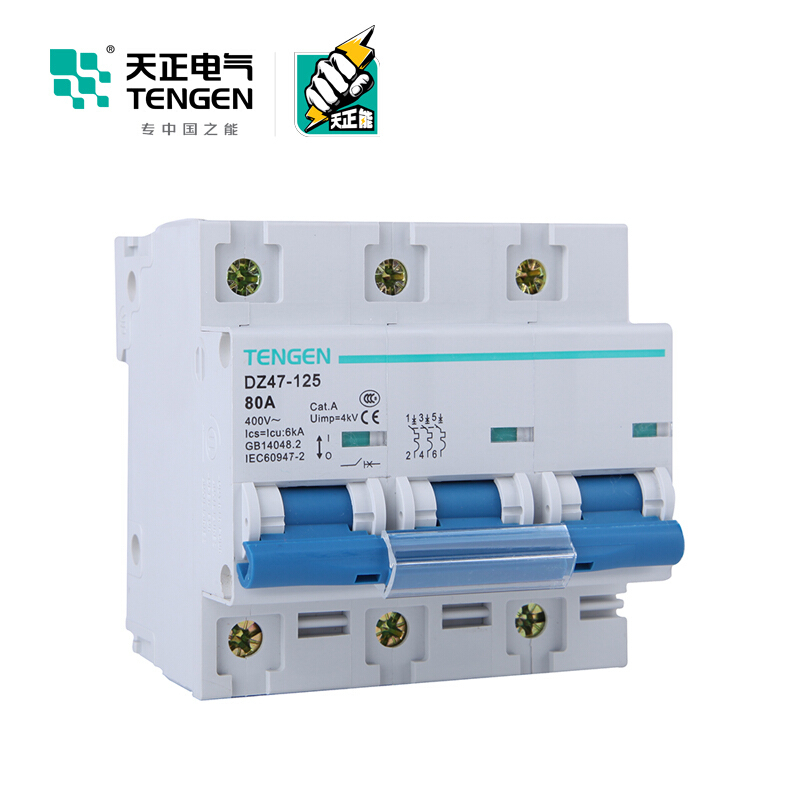 天正电气 空气开关 DZ47-125 3P C80A 6KA 01060020009 微型断路器