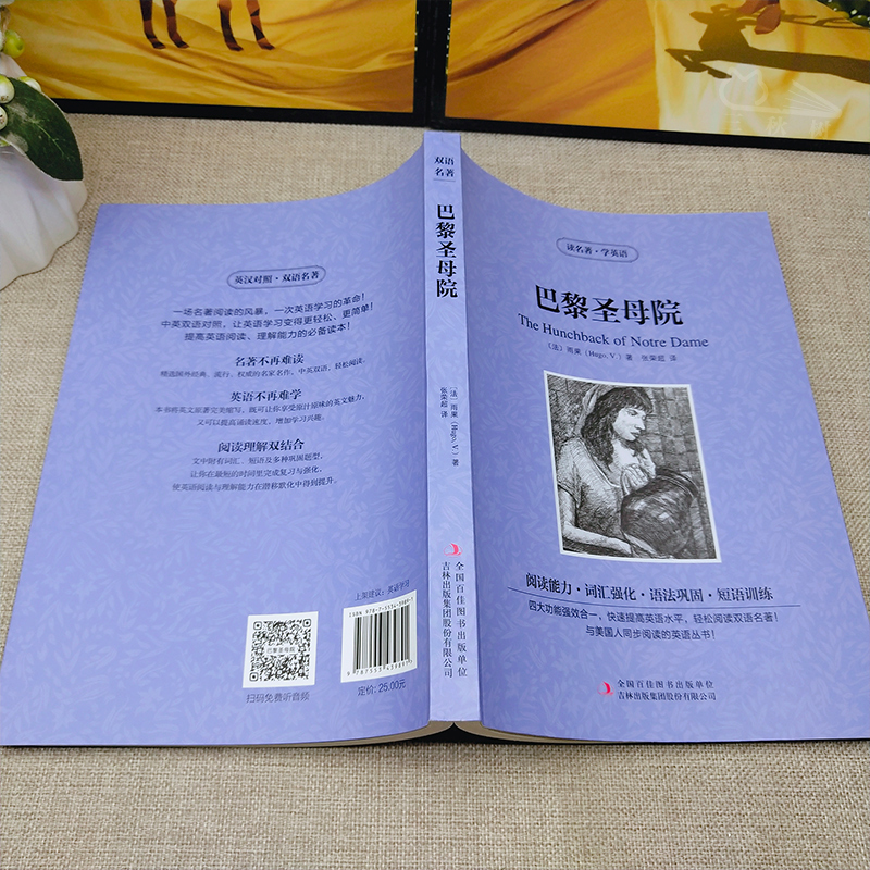 [中英互译]全4册 [正版]巴黎圣母院中英文双语书籍名著读物英汉对照小说全套阅读 巴黎圣母院原著 读名著学英语 高初中生